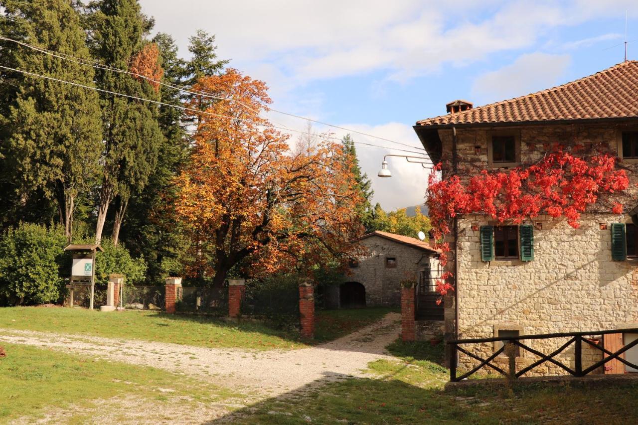 Agriturismo Villaggio Eden Pieve Santo Stefano Exterior foto